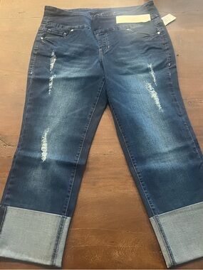 Jag Jeans Women's Lewis Distressed Boyfriend Jeans with Cuffs - Size 16